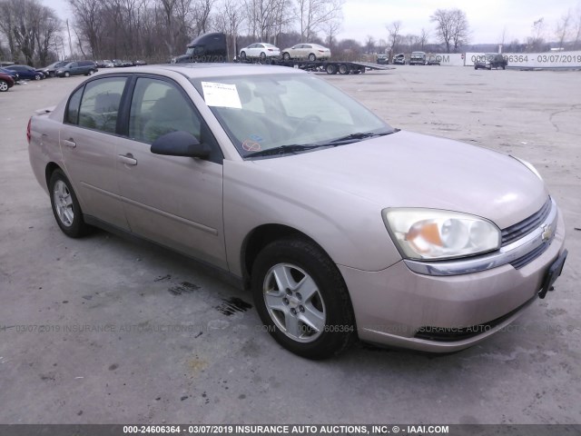 1G1ZT54845F294611 - 2005 CHEVROLET MALIBU LS TAN photo 1