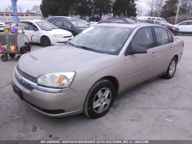 1G1ZT54845F294611 - 2005 CHEVROLET MALIBU LS TAN photo 2