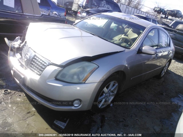 1N4BA41E86C814868 - 2006 NISSAN MAXIMA SE/SL SILVER photo 2