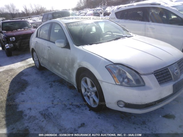 1N4BA41E94C924549 - 2004 NISSAN MAXIMA SE/SL WHITE photo 1