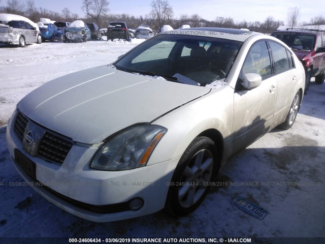 1N4BA41E94C924549 - 2004 NISSAN MAXIMA SE/SL WHITE photo 2