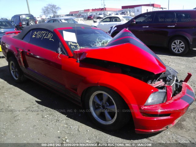 1ZVHT85HX65103295 - 2006 FORD MUSTANG GT RED photo 1