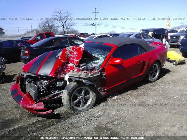 1ZVHT85HX65103295 - 2006 FORD MUSTANG GT RED photo 2