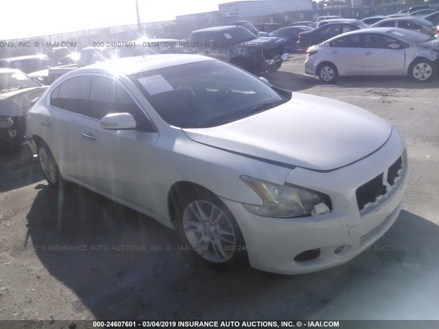 1N4AA5AP8AC865394 - 2010 NISSAN MAXIMA S/SV WHITE photo 1