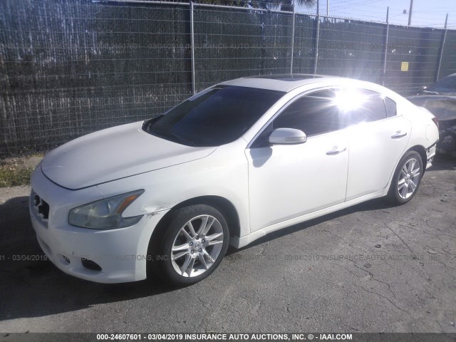 1N4AA5AP8AC865394 - 2010 NISSAN MAXIMA S/SV WHITE photo 2