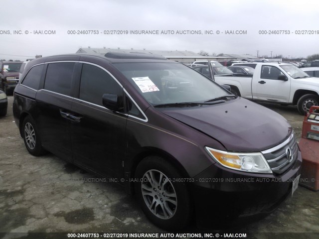 5FNRL5H68CB027053 - 2012 HONDA ODYSSEY EXL BURGUNDY photo 1