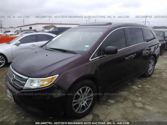 5FNRL5H68CB027053 - 2012 HONDA ODYSSEY EXL BURGUNDY photo 2