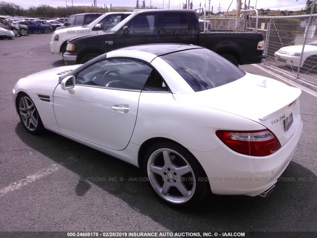 WDDPK4HA2EF083910 - 2014 MERCEDES-BENZ SLK 250 WHITE photo 3