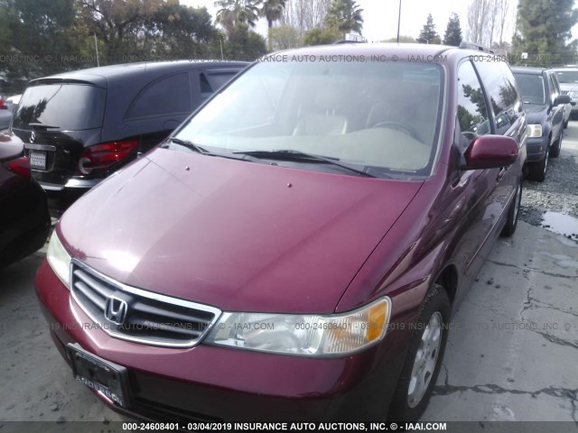 5FNRL18944B071958 - 2004 HONDA ODYSSEY EXL RED photo 2