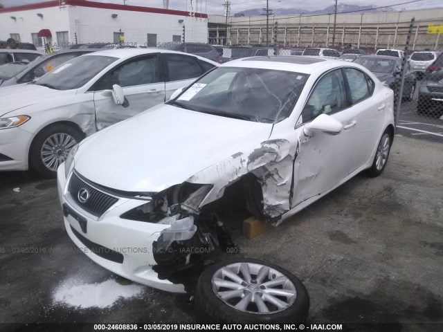 JTHBK262392093829 - 2009 LEXUS IS 250 WHITE photo 2