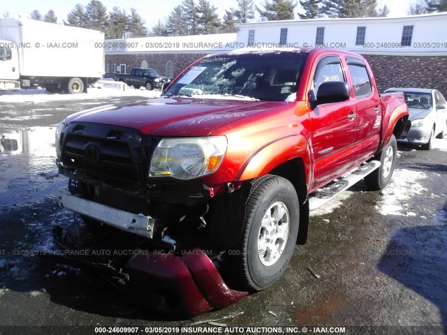 5TELU42N98Z487230 - 2008 TOYOTA TACOMA DOUBLE CAB RED photo 2