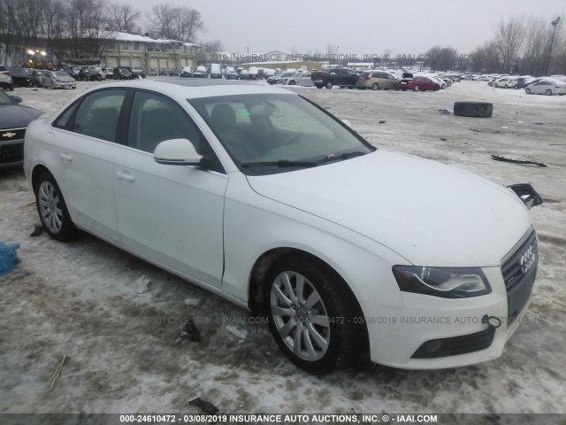 WAUSF78KX9N021733 - 2009 AUDI A4 PREMIUM PLUS WHITE photo 1