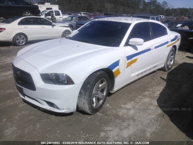 2C3CDXAT9DH555067 - 2013 DODGE CHARGER POLICE WHITE photo 2