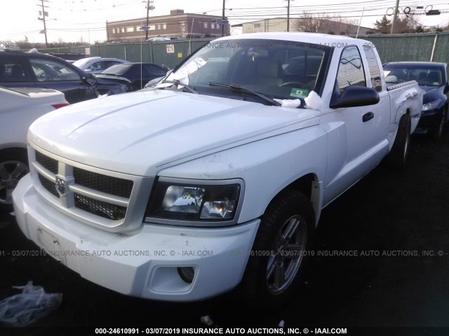 1D3HW32K68S599544 - 2008 DODGE DAKOTA SXT WHITE photo 2