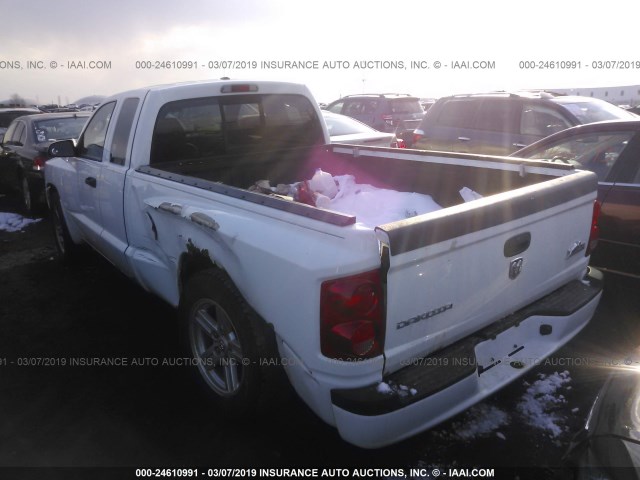 1D3HW32K68S599544 - 2008 DODGE DAKOTA SXT WHITE photo 3