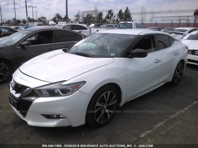 1N4AA6AP4GC441287 - 2016 NISSAN MAXIMA 3.5S/SV/SL/SR/PLAT WHITE photo 2