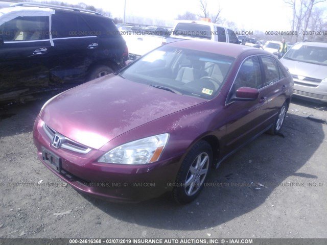 1HGCM66374A057982 - 2004 HONDA ACCORD LX RED photo 2