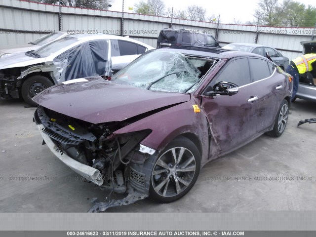 1N4AA6AP7HC422461 - 2017 NISSAN MAXIMA 3.5S/SV/SL/SR/PLAT MAROON photo 2