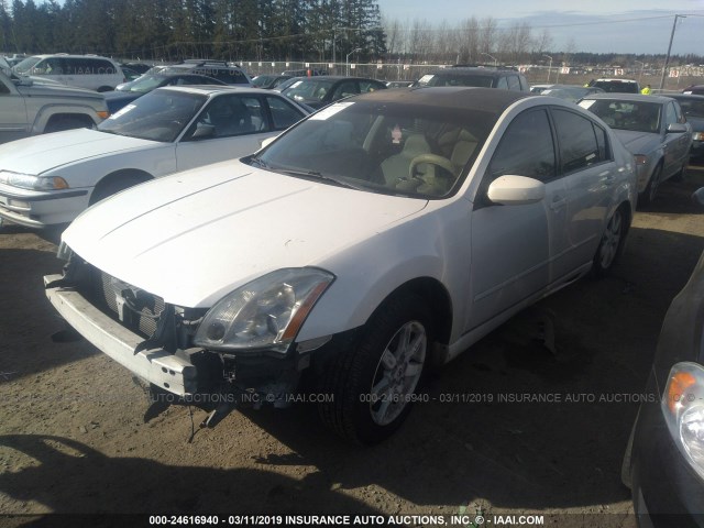 1N4BA41E84C895349 - 2004 NISSAN MAXIMA SE/SL WHITE photo 2