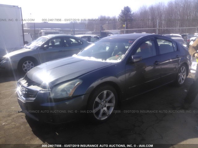 1N4BA41E87C849749 - 2007 NISSAN MAXIMA SE/SL GRAY photo 2