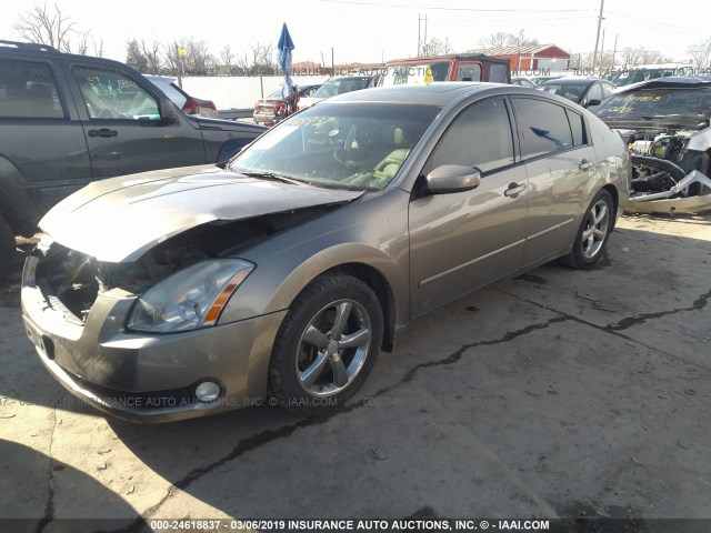 1N4BA41E94C880973 - 2004 NISSAN MAXIMA SE/SL GOLD photo 2