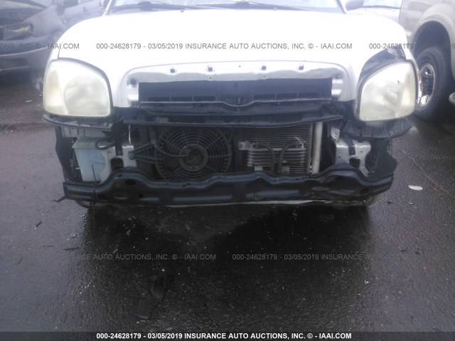 KM8SC13D25U897452 - 2005 HYUNDAI SANTA FE GLS/LX SILVER photo 6