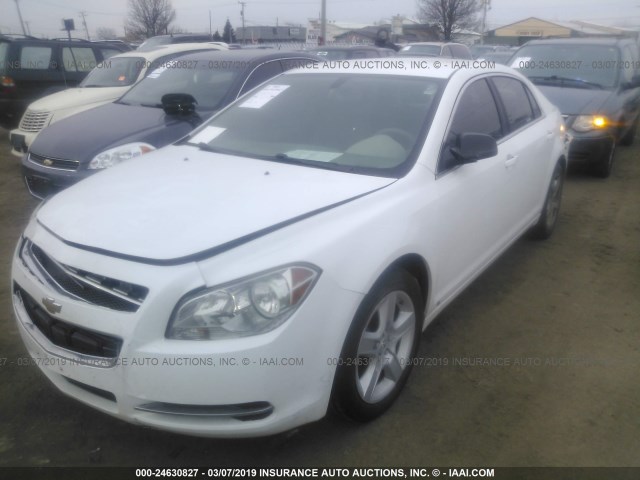 1G1ZG57B19F103938 - 2009 CHEVROLET MALIBU LS WHITE photo 2
