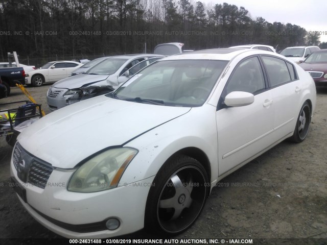 1N4BA41EX5C840404 - 2005 NISSAN MAXIMA SE/SL WHITE photo 2