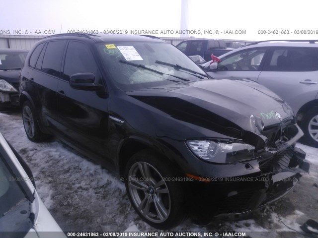 5YMGY0C59ALK25104 - 2010 BMW X5 M BLACK photo 1