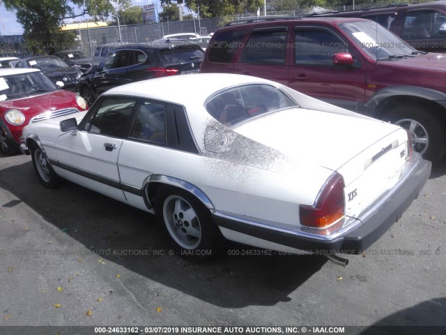 SAJNV5848GC133031 - 1986 JAGUAR XJS WHITE photo 3