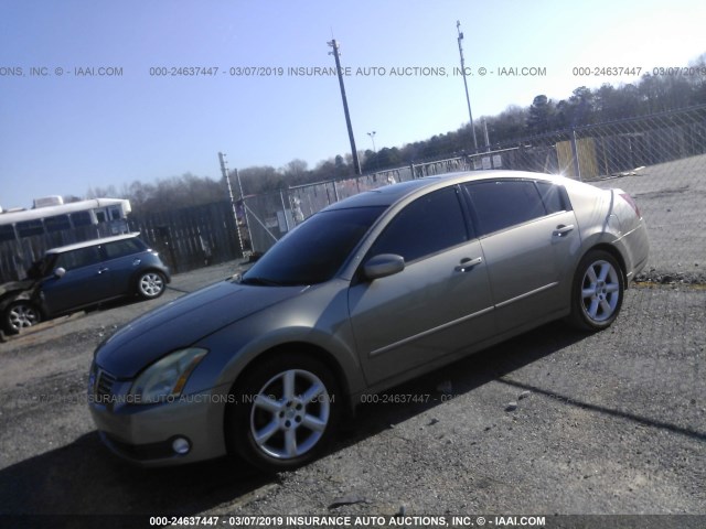 1N4BA41E84C903983 - 2004 NISSAN MAXIMA SE/SL GOLD photo 2