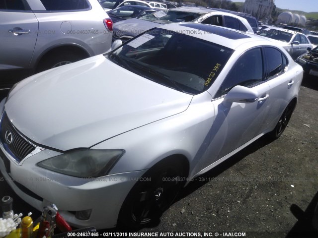 JTHBK262995095227 - 2009 LEXUS IS 250 WHITE photo 2