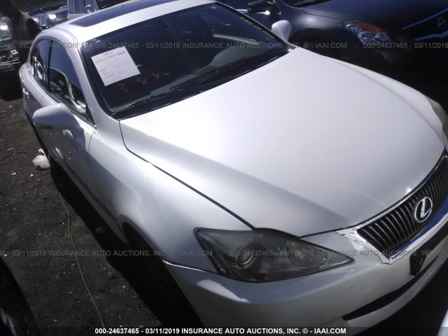 JTHBK262995095227 - 2009 LEXUS IS 250 WHITE photo 6