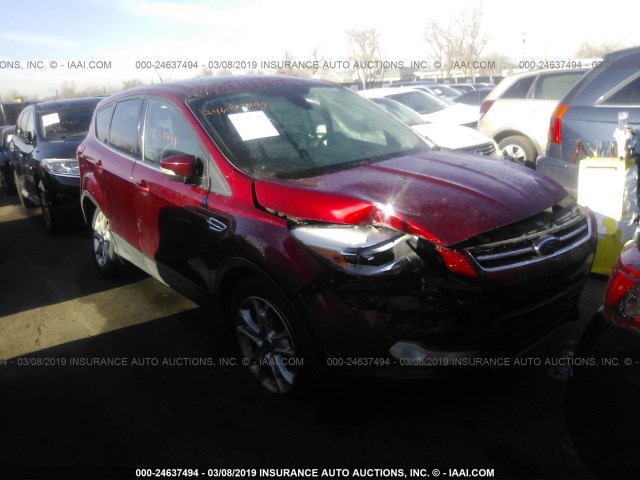 1FMCU9H94DUD58026 - 2013 FORD ESCAPE SEL RED photo 1