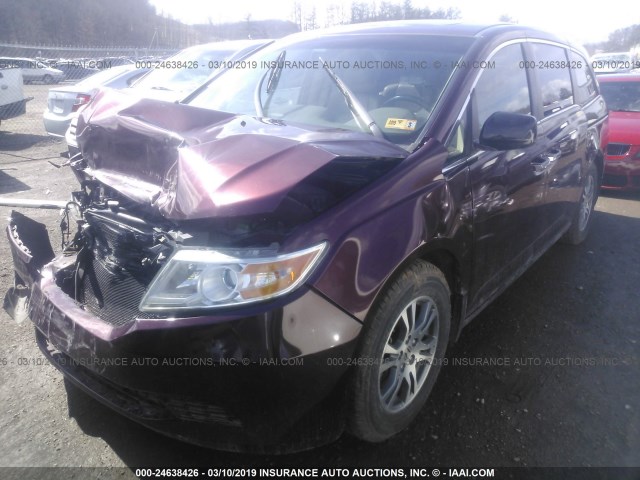 5FNRL5H62CB124443 - 2012 HONDA ODYSSEY EXL BURGUNDY photo 2