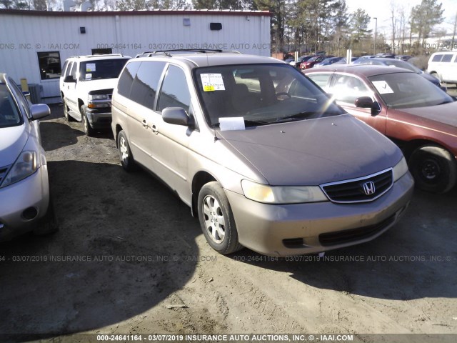 5FNRL18033B091778 - 2003 HONDA ODYSSEY EXL TAN photo 1