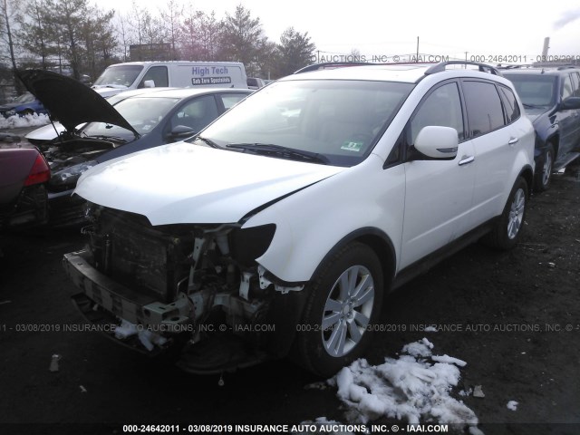 4S4WX92D584417317 - 2008 SUBARU TRIBECA LIMITED WHITE photo 2