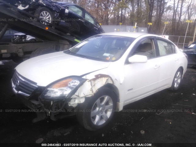 1N4CL21E98C256440 - 2008 NISSAN ALTIMA HYBRID WHITE photo 2