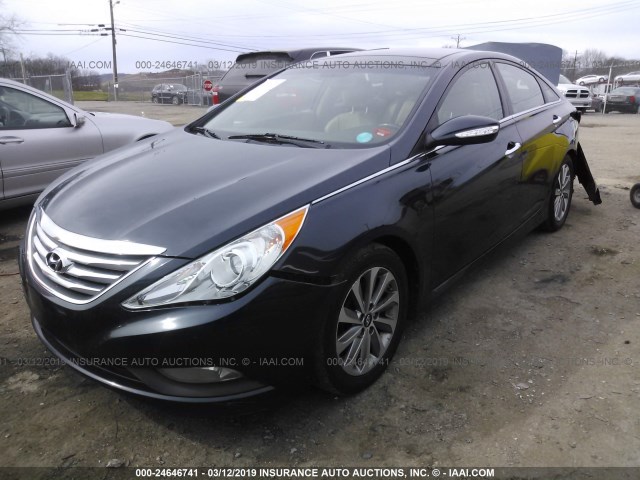 5NPEC4AC4EH904036 - 2014 HYUNDAI SONATA SE/LIMITED BLUE photo 2