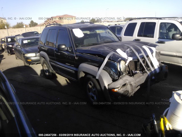 1J4GK48K63W708772 - 2003 JEEP LIBERTY SPORT/FREEDOM BLUE photo 1