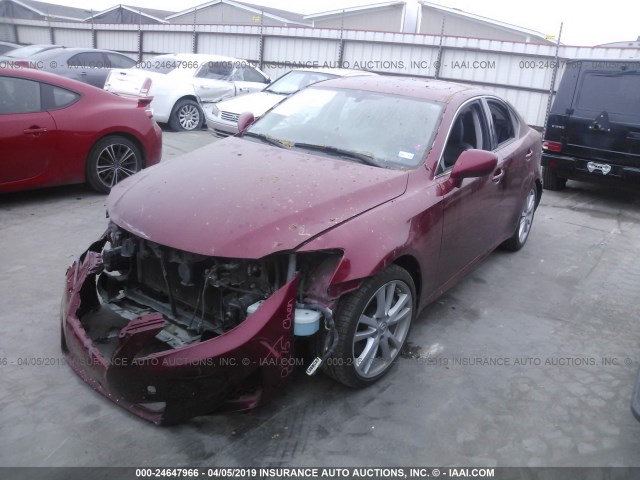 JTHBE262465002746 - 2006 LEXUS IS 350 RED photo 2