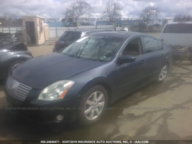 1N4BA41EX6C866177 - 2006 NISSAN MAXIMA SE/SL BLUE photo 2