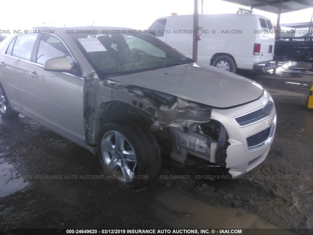 1G1ZH57B39F256723 - 2009 CHEVROLET MALIBU 1LT 金色 照片 6