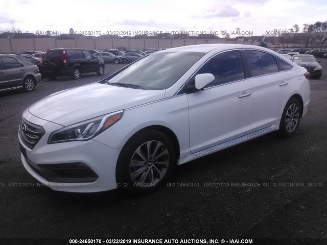 5NPE34AF5GH271964 - 2016 HYUNDAI SONATA SPORT/LIMITED WHITE photo 2