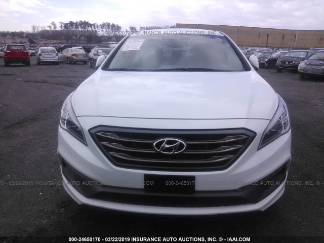 5NPE34AF5GH271964 - 2016 HYUNDAI SONATA SPORT/LIMITED WHITE photo 6