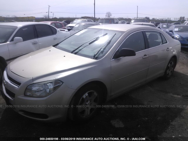 1G1ZB5EB8AF119298 - 2010 CHEVROLET MALIBU LS TAN photo 2