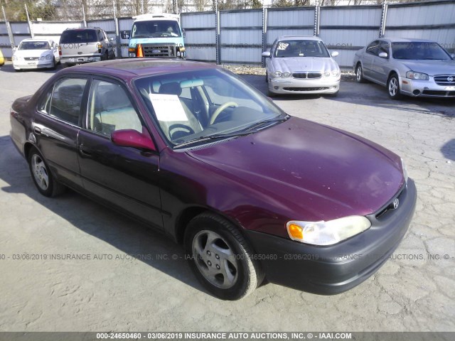 2T1BR18E6WC058942 - 1998 TOYOTA COROLLA VE/CE/LE 勃艮第红 照片 1