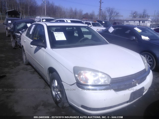1G1ZT54885F135882 - 2005 CHEVROLET MALIBU LS WHITE photo 1
