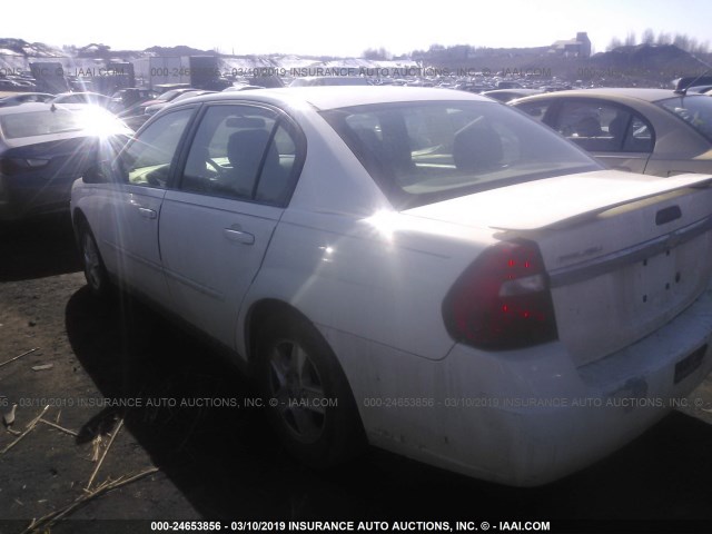 1G1ZT54885F135882 - 2005 CHEVROLET MALIBU LS WHITE photo 3
