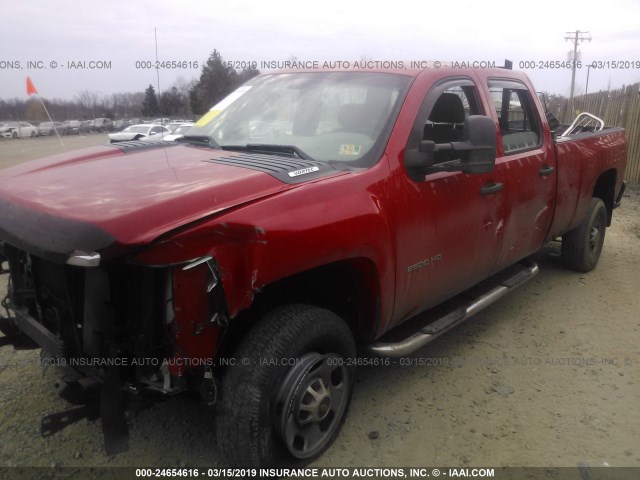 1GC1CVCGXDF183685 - 2013 CHEVROLET SILVERADO C2500 HEAVY DUTY RED photo 2